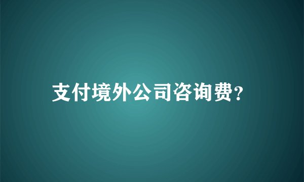 支付境外公司咨询费？