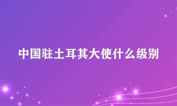 中国驻土耳其大使什么级别