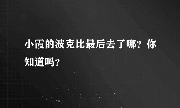 小霞的波克比最后去了哪？你知道吗？