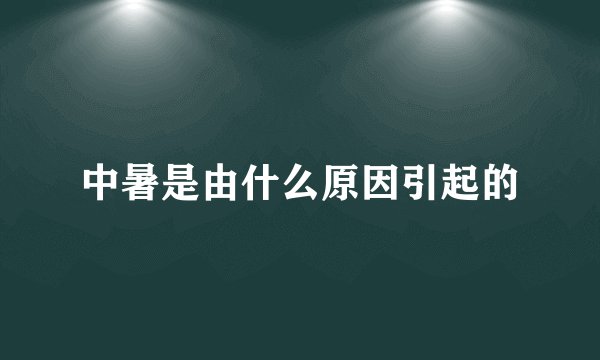 中暑是由什么原因引起的