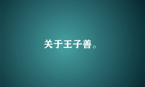 关于王子善。