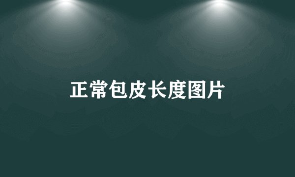 正常包皮长度图片