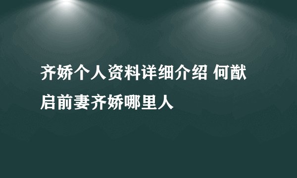 齐娇个人资料详细介绍 何猷启前妻齐娇哪里人