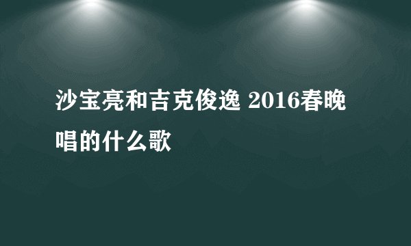 沙宝亮和吉克俊逸 2016春晚唱的什么歌