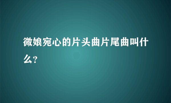 微娘宛心的片头曲片尾曲叫什么？