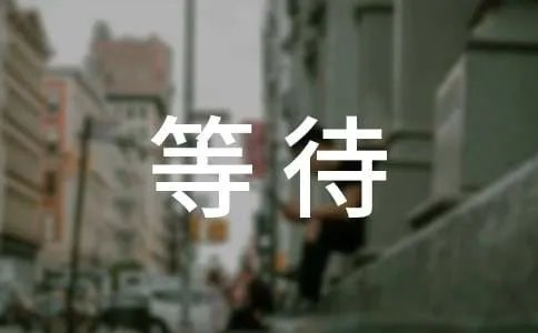 独自等待经典台词