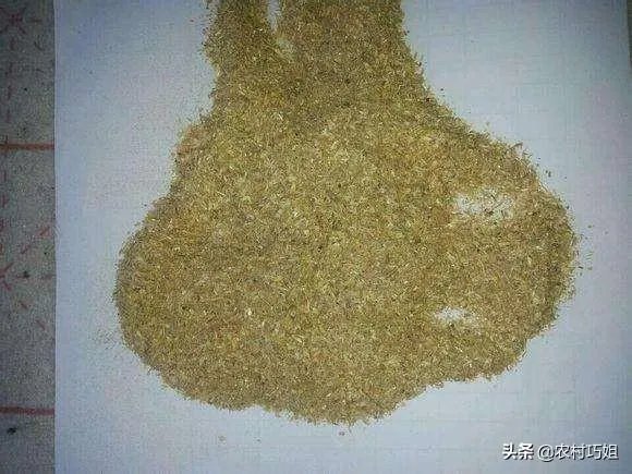 花生秧粉怎么喂鸭好?