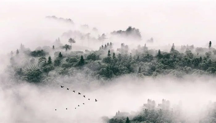 忆江南的写作背景