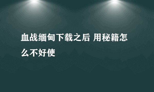 血战缅甸下载之后 用秘籍怎么不好使