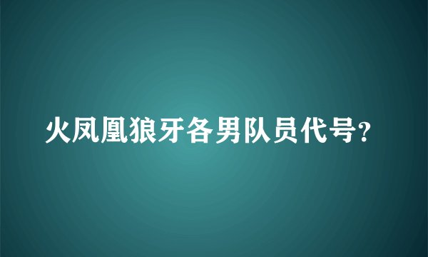 火凤凰狼牙各男队员代号？