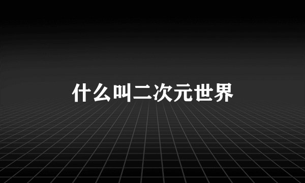 什么叫二次元世界