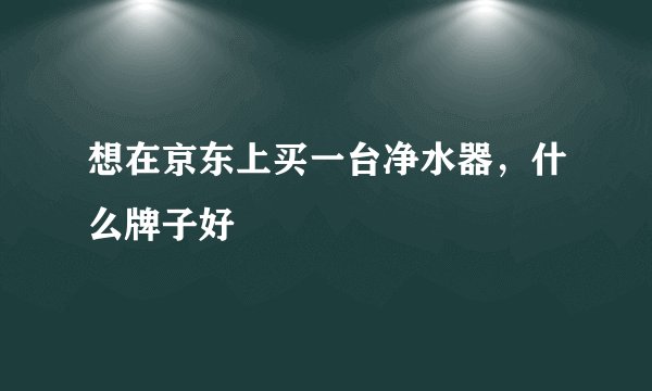 想在京东上买一台净水器，什么牌子好