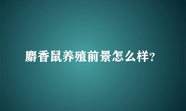麝香鼠养殖前景怎么样?