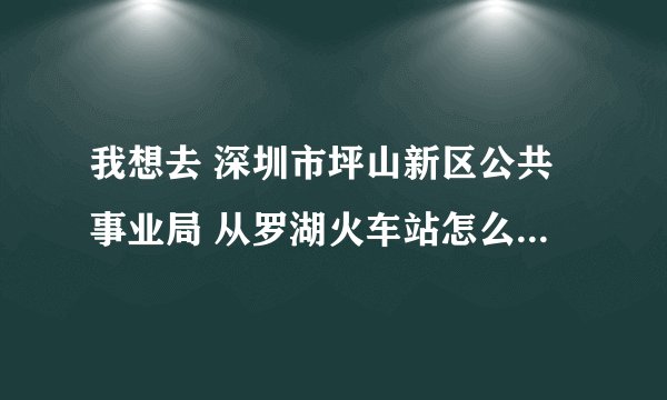 我想去 深圳市坪山新区公共事业局 从罗湖火车站怎么到那里 请告诉我具体的地址和路线 谢谢