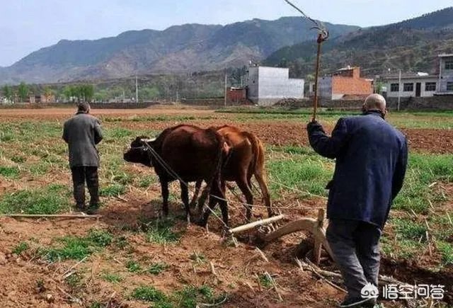 农村立秋当天忌讳