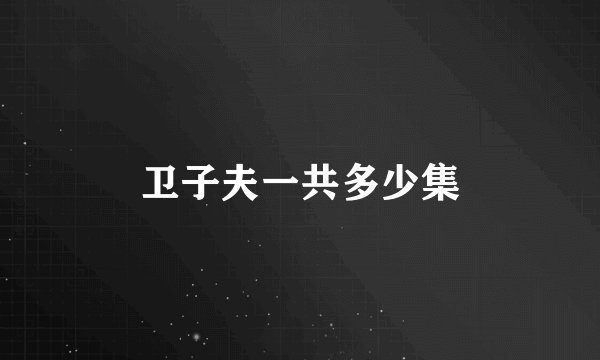 卫子夫一共多少集