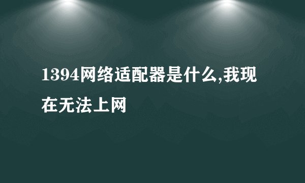 1394网络适配器是什么,我现在无法上网