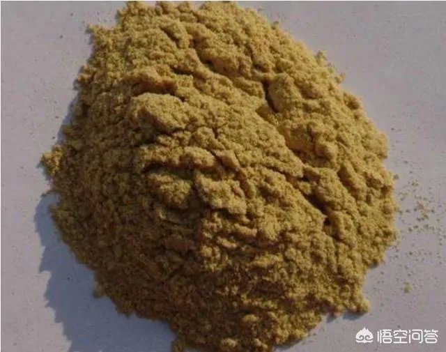 养鸡500只需要多少成本?