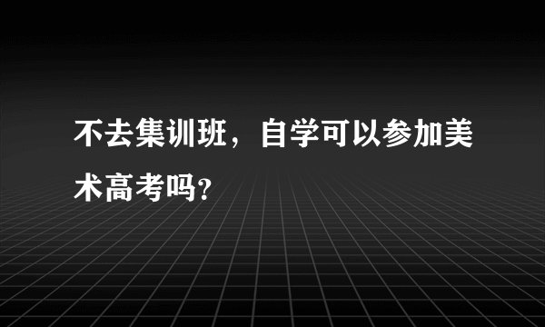 不去集训班，自学可以参加美术高考吗？