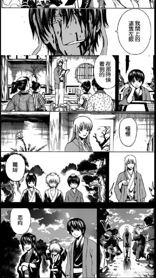 如何看待银魂漫画第519训？