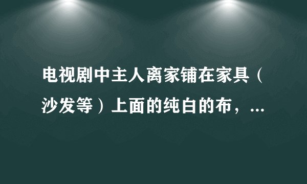 电视剧中主人离家铺在家具（沙发等）上面的纯白的布，叫什么呀，在哪可以买的啊？