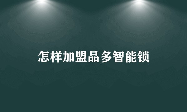 怎样加盟品多智能锁