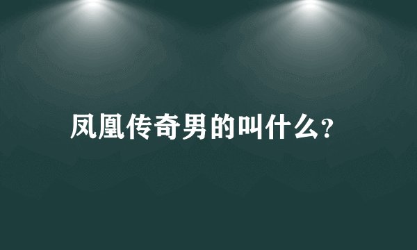 凤凰传奇男的叫什么？