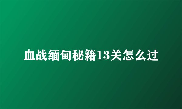 血战缅甸秘籍13关怎么过