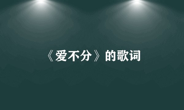 《爱不分》的歌词