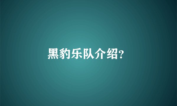 黑豹乐队介绍？