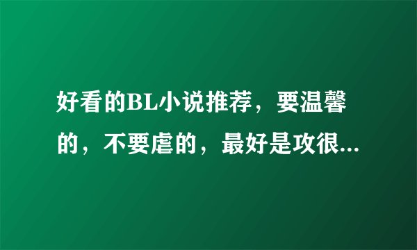 好看的BL小说推荐，要温馨的，不要虐的，最好是攻很宠受的。