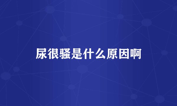 尿很骚是什么原因啊