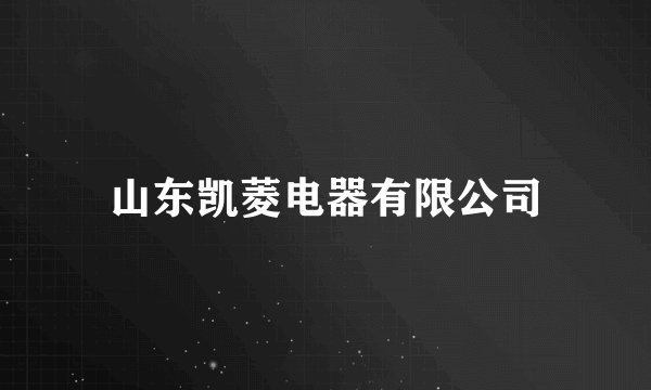 山东凯菱电器有限公司