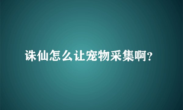诛仙怎么让宠物采集啊？