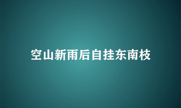 空山新雨后自挂东南枝