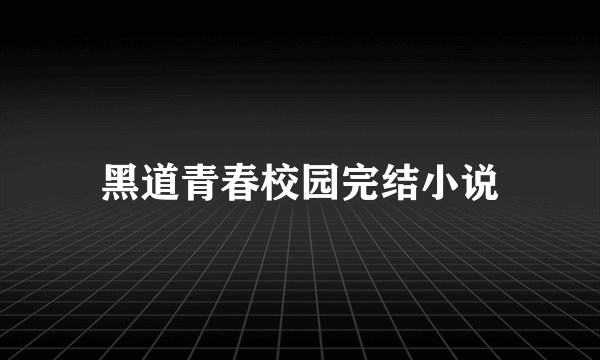 黑道青春校园完结小说