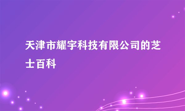 天津市耀宇科技有限公司的芝士百科
