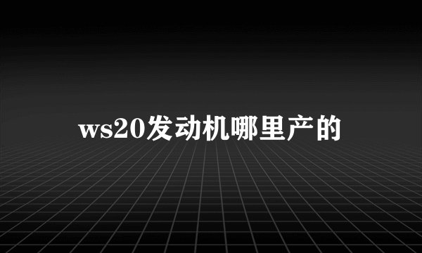 ws20发动机哪里产的