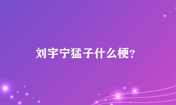 刘宇宁猛子什么梗?