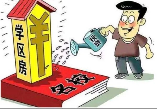 1200万买39平地下室,学区房为何如此“炽热”?