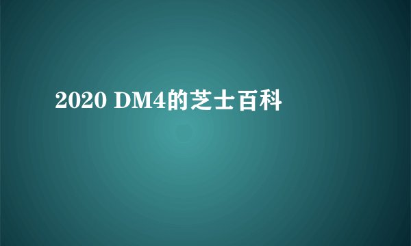 2020 DM4的芝士百科