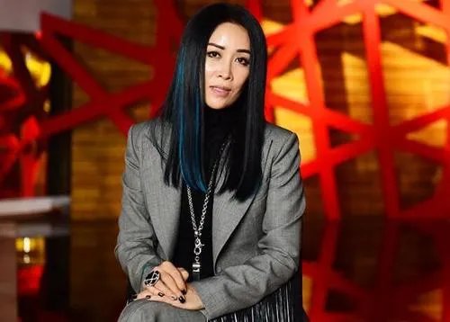 那英的实力那么强，为什么很多人反而骂她？
