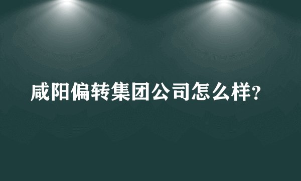 咸阳偏转集团公司怎么样？