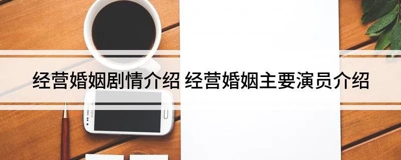 经营婚姻剧情介绍 经营婚姻主要演员介绍