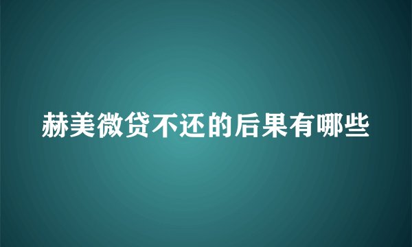 赫美微贷不还的后果有哪些