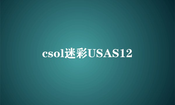 csol迷彩USAS12