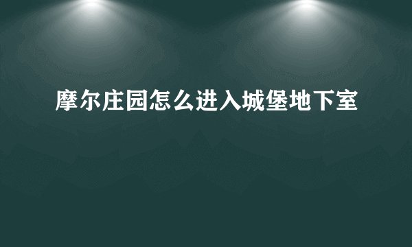 摩尔庄园怎么进入城堡地下室