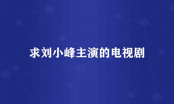 求刘小峰主演的电视剧
