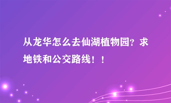 从龙华怎么去仙湖植物园？求地铁和公交路线！！
