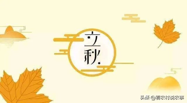 农村立秋当天忌讳